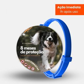 Colar Anti Pulgas e Carrapatos Original - 8 Meses de Proteção